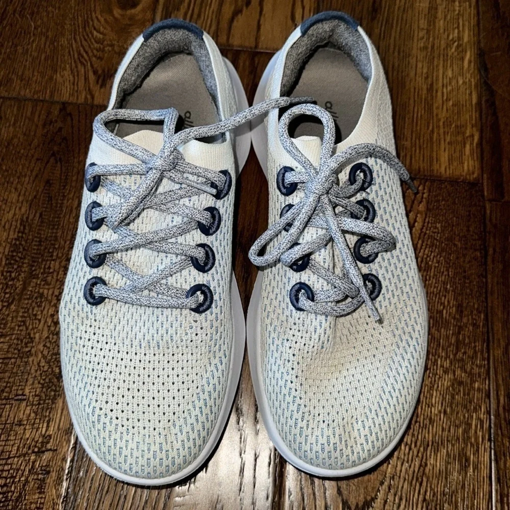Allbirds True Dasher Wool Rubbing Sneaker Shoes